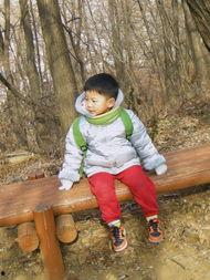 欧美孩子爬山图片高清,攀登高峰的勇敢足迹